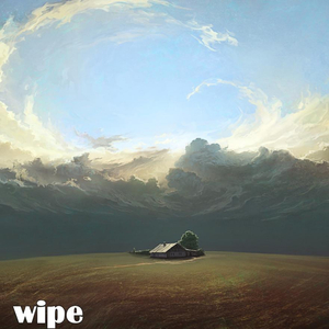 wipe