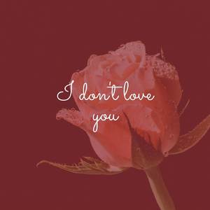 I Don't Love You