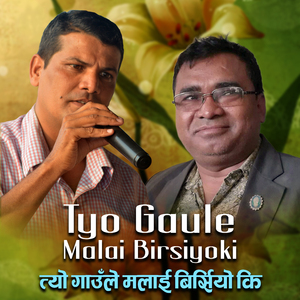 Tyo Gaule Malai Birsiyoki