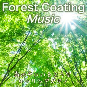 Forest Piano Music for work and reading