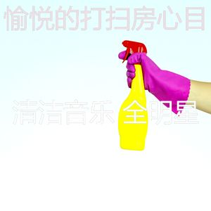 一尘不染清洁公寓印象数