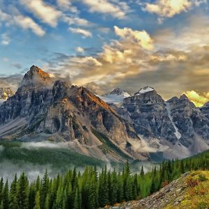 一辈子做的赌注