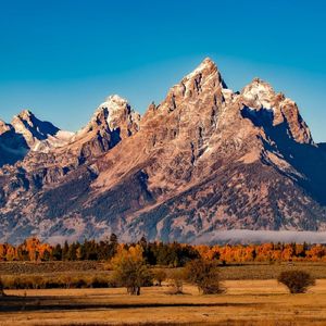 蝴蝶（酒店大堂音乐背景音乐）-古筝