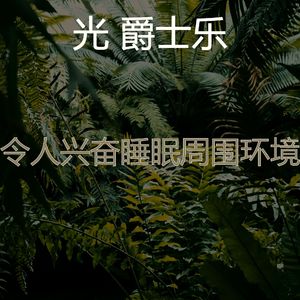 抚慰的做梦回忆