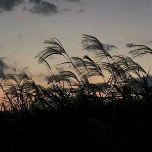 过后（prod by ZS beat）