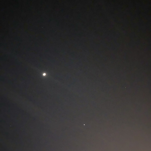 冬天的感情终章