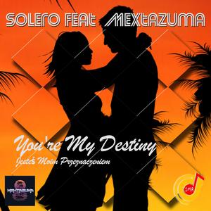 You´re My Destiny (feat. Solero) (Radio Edit)