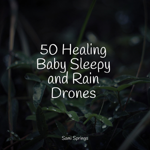 Seagulls on the Beach (Relaxing Ocean Waves)