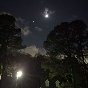 ᴹⁱˢᵗʸ_¹⁹⁹ˣ