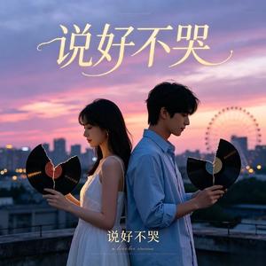 说好不哭