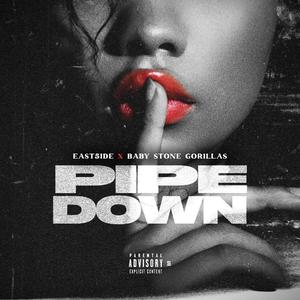 Pipe Down (feat. Baby Stone Gorillas)