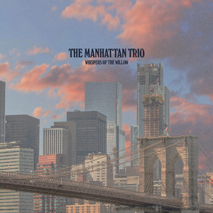 Whispers of the Willow