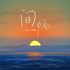 间隔 (DJ沈念版)