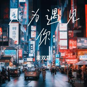 只为遇见你