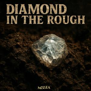 Diamond In The Rough