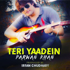 Teri Yaadein (feat. Irfan Chaudhry)