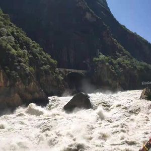 我有孤独和烈酒Live