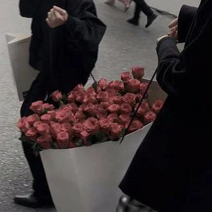 Night Cruising（小提琴）