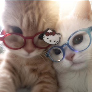 "思绪" 孟菲斯 SASIOVERLXRD X BOBBYNOPEACE Type Beat