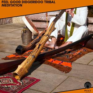 Delta Drone (Analog Drum Backed Didgeridoo)