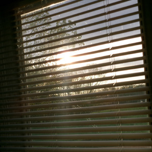 sunlight