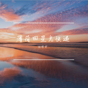 留下我独酌