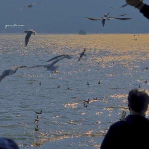 玫瑰(无和声版)_撒野_2022-04-07_191427_2022-04-07_201706