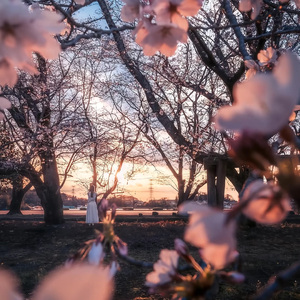 写给她的歌(Prod.Siren & prodriki & EVO MUSIC)