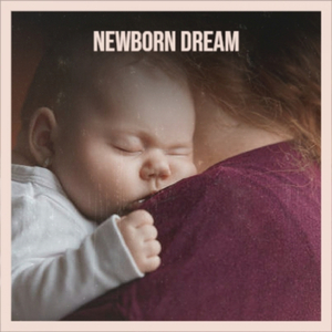 The Eve of Nowhere: Delicate Touching and Dreamy4