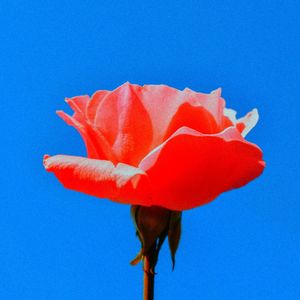 一尘不染放松印象数