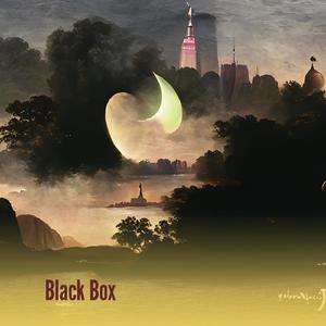 Black Box