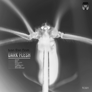 Cosmonautics (Original Mix)