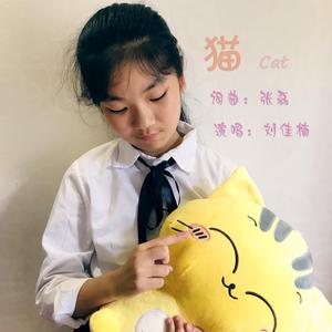 猫 伴奏