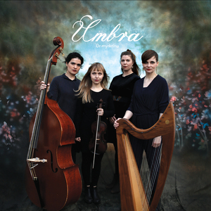 Mörður týndi tönnum