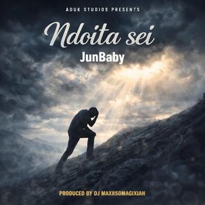 Ndoita sei (feat. DJ Max850Magixian)