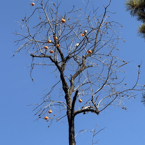 他的名字叫博文