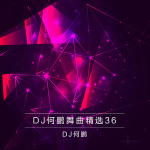 流泪的情人(DJ Version)