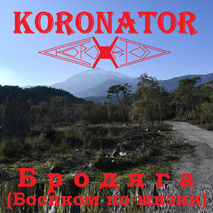 Бродяга (Босиком по жизни)
