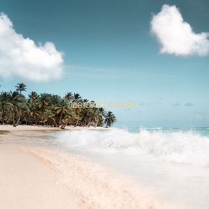 正在学习安静的轻音乐