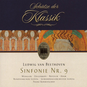 Symphony No. 9 in D Minor, Op. 125: IV. Finale. Presto