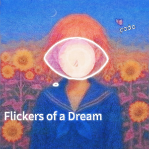 Flashes of Hamamatsu