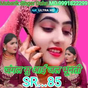 SR 85 जंगल की तर्ज