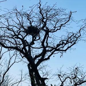 因为一个人留恋一座城