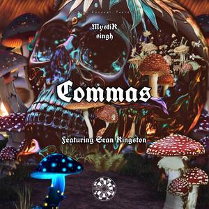 Commas (feat. Sean Kingston)