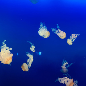 真夜中のラブレター