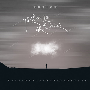 你是吹进眼里的风 (DJ武圣雄版)