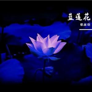 蓝莲花