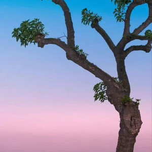 多多见面 王一珩OneSD