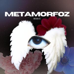 Metamorfoz.