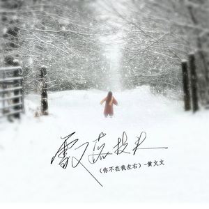 雪又落枝头 (你不在我左右)